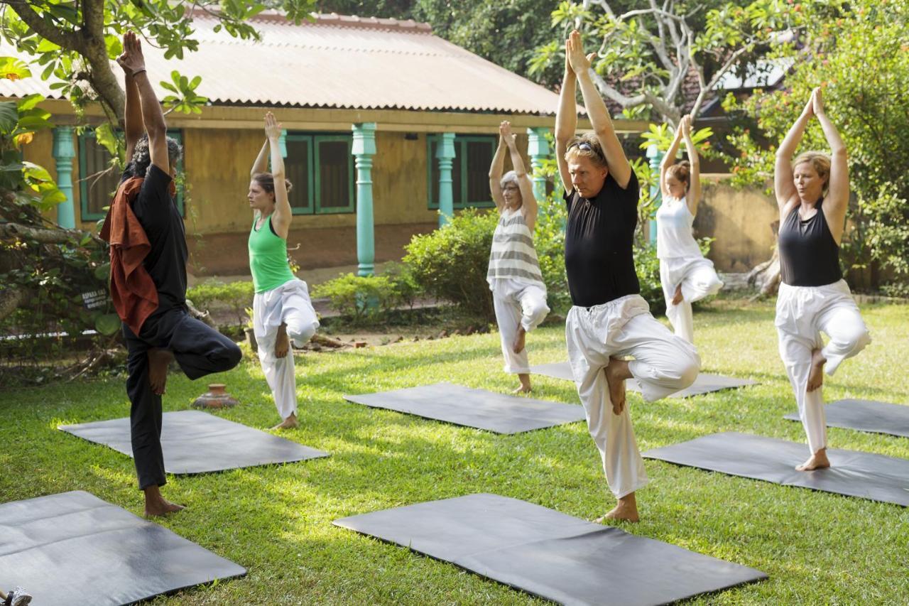 Resort Jetwing Ayurveda Pavilions Negombo